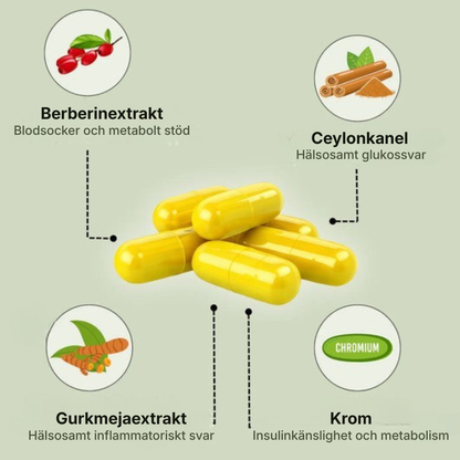 Metora® | 4-i-1 Berberinkomplex – Med berberin, ceylonkanel, krom och gurkmeja för balanserat blodsocker, hälsosamma A1C-nivåer och jämn energi hela dagen