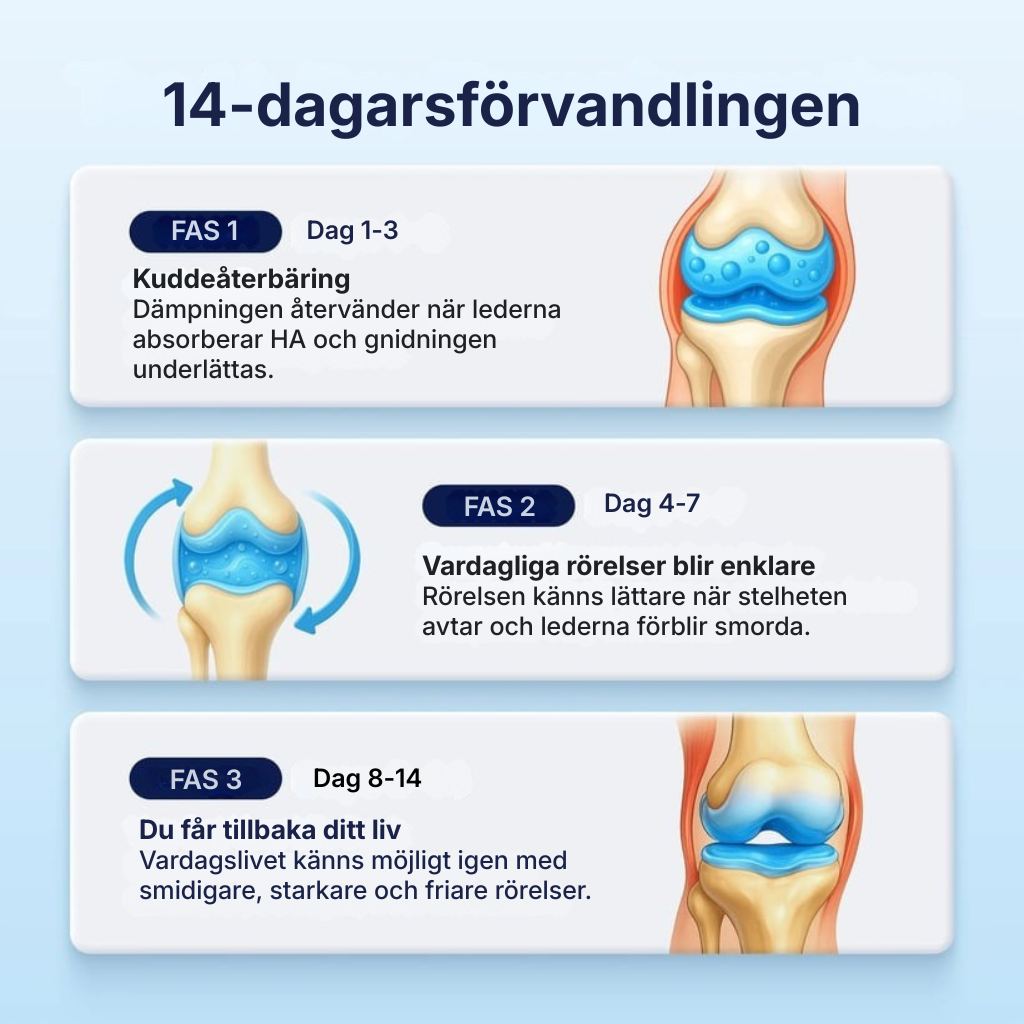 Hyalix® | Joint Molecule – Nu i form av en daglig kapsel som din kropp faktiskt kan ta upp