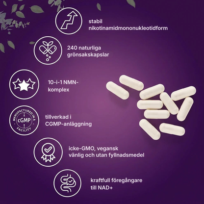Arvian® NMN Complex | 1000 mg för cellenergi och toppkapacitet