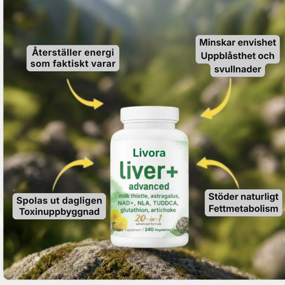 Livora® | Stöd alla aspekter av leverns hälsa – från avgiftning och inflammation till energi och cellåteruppbyggnad