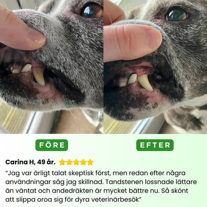 PawSafe® | 3-i-1 Kit – Säkert tandvård hemma