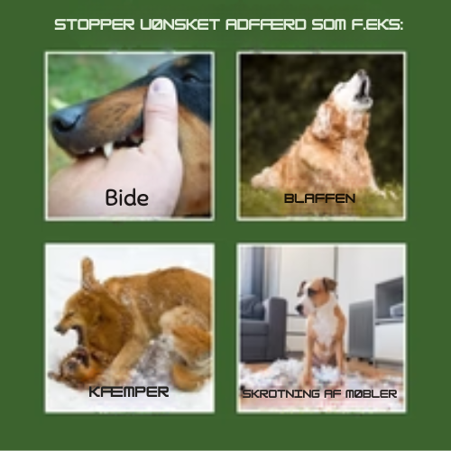 WoofieCalm® - Stoppar skällande och annat oönskat beteende