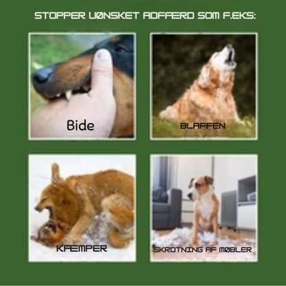 WoofieCalm® - Stoppar skällande och annat oönskat beteende