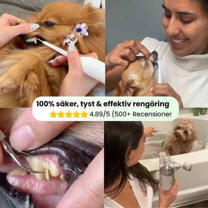 PawSafe® | 3-i-1 Kit – Säkert tandvård hemma