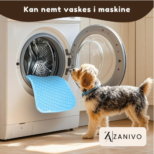 FrostVen® | Självkylande Liggeunderlag för Husdjur